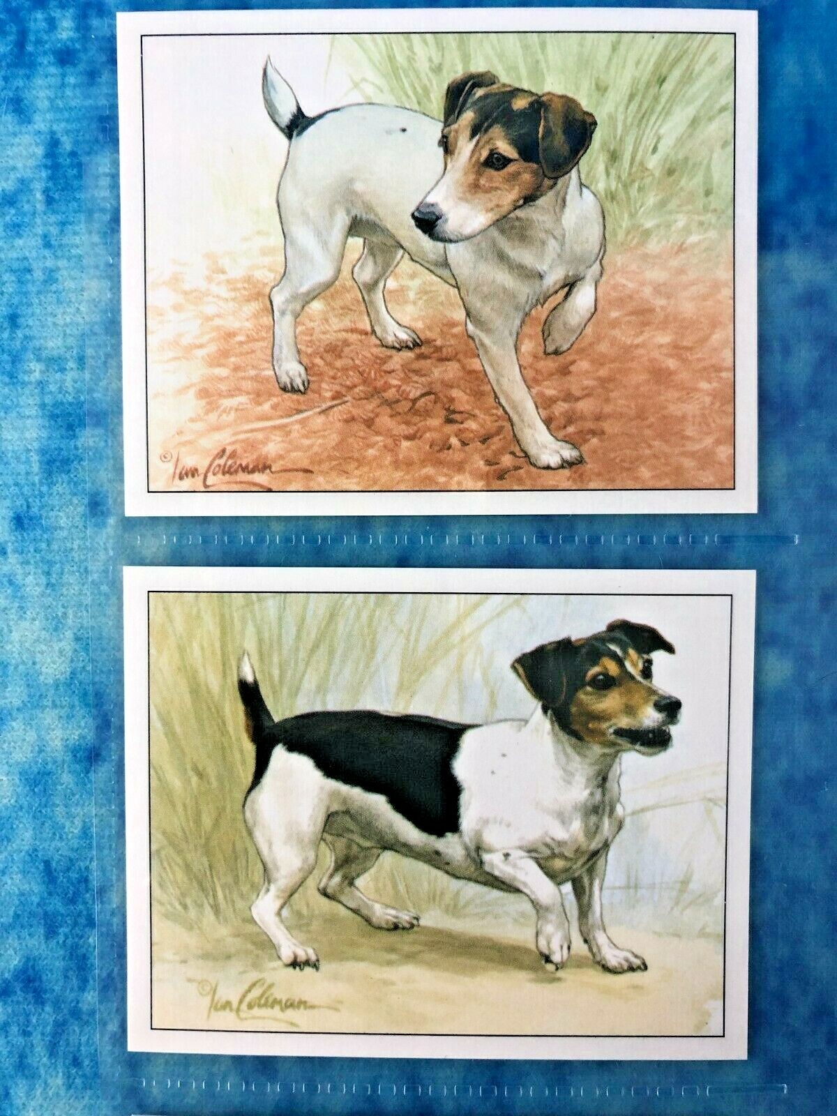 1999 Imperial Dog Collection Jack Russell Terriers A Series of 6 Trade Cards - Picture 2 of 7