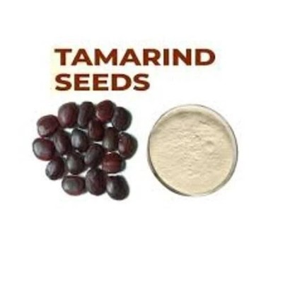 Organic Mountain Tamarind Seed POWDER Pahadi Imli Beej powder free shipping