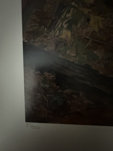 Troiani “Battle of King’s Mountain” Very Rare, Rev War Print, #37 Sold Out Print - Picture 8 of 9