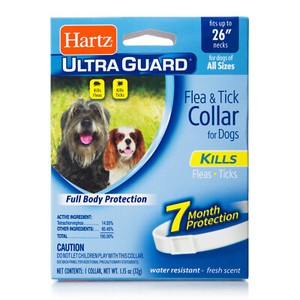 pro collar for dogs