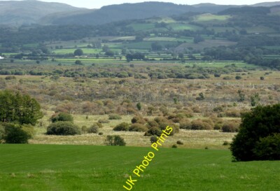 Photo 12x8 Marshy woodland by Cors Caron bog, Ceredigion Swyddffynnon The  c2015