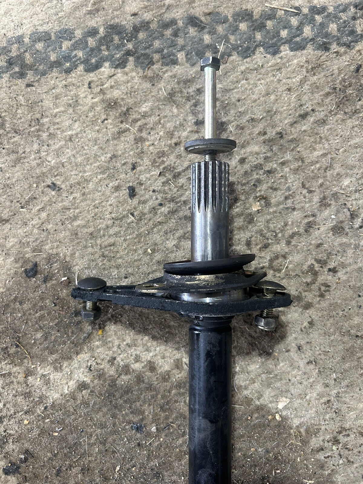 Picture 4 of 4