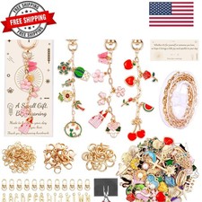 285 Pcs Keychain Making Kit, Bag Charm Kit with 92 Charms, 22 Keychain Clips,...