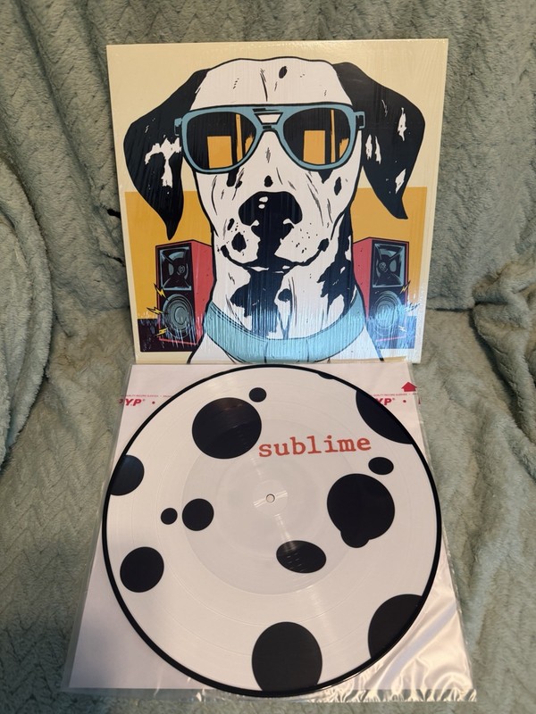 Sublime - Doin’ Time Remixes Vinyl Record Picture Disc Rare OOP Limited