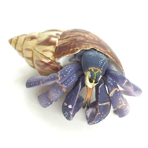 Weekly Japanese Natural Monument Figure #42 Terrestrial Hermit Crab Kaiyodo