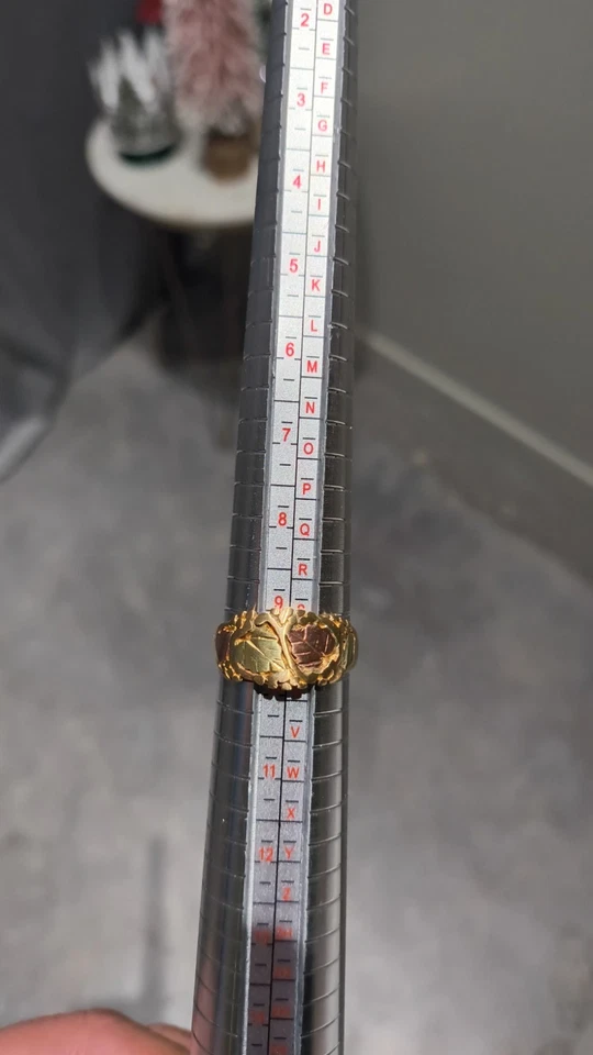 anillo oro colinas negras talla 10 Foto 4 de 4