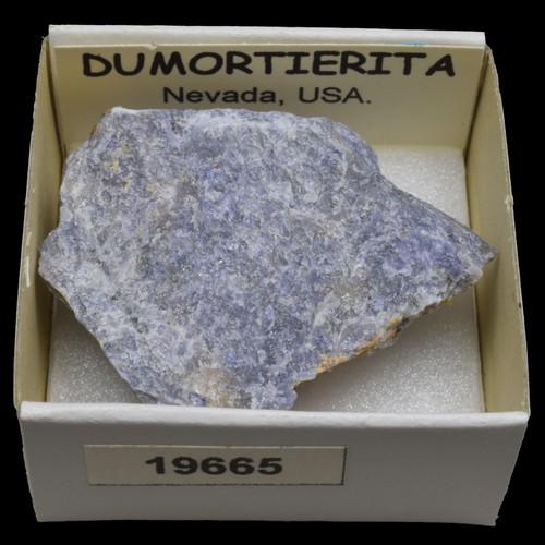 DUMORTIERITA (Nevada, USA) #19665 / Dumortierite