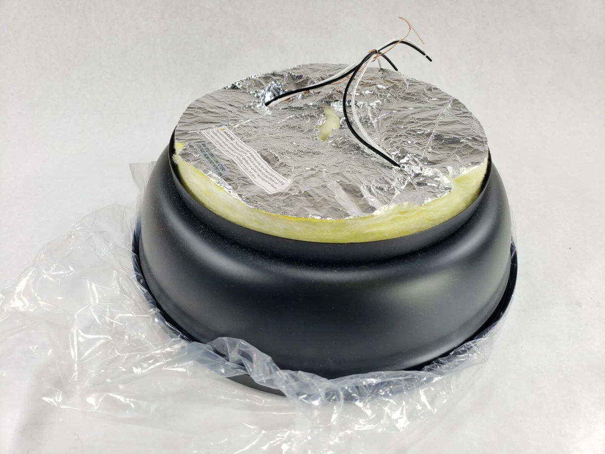 Duncan 2 light flush cheap mount