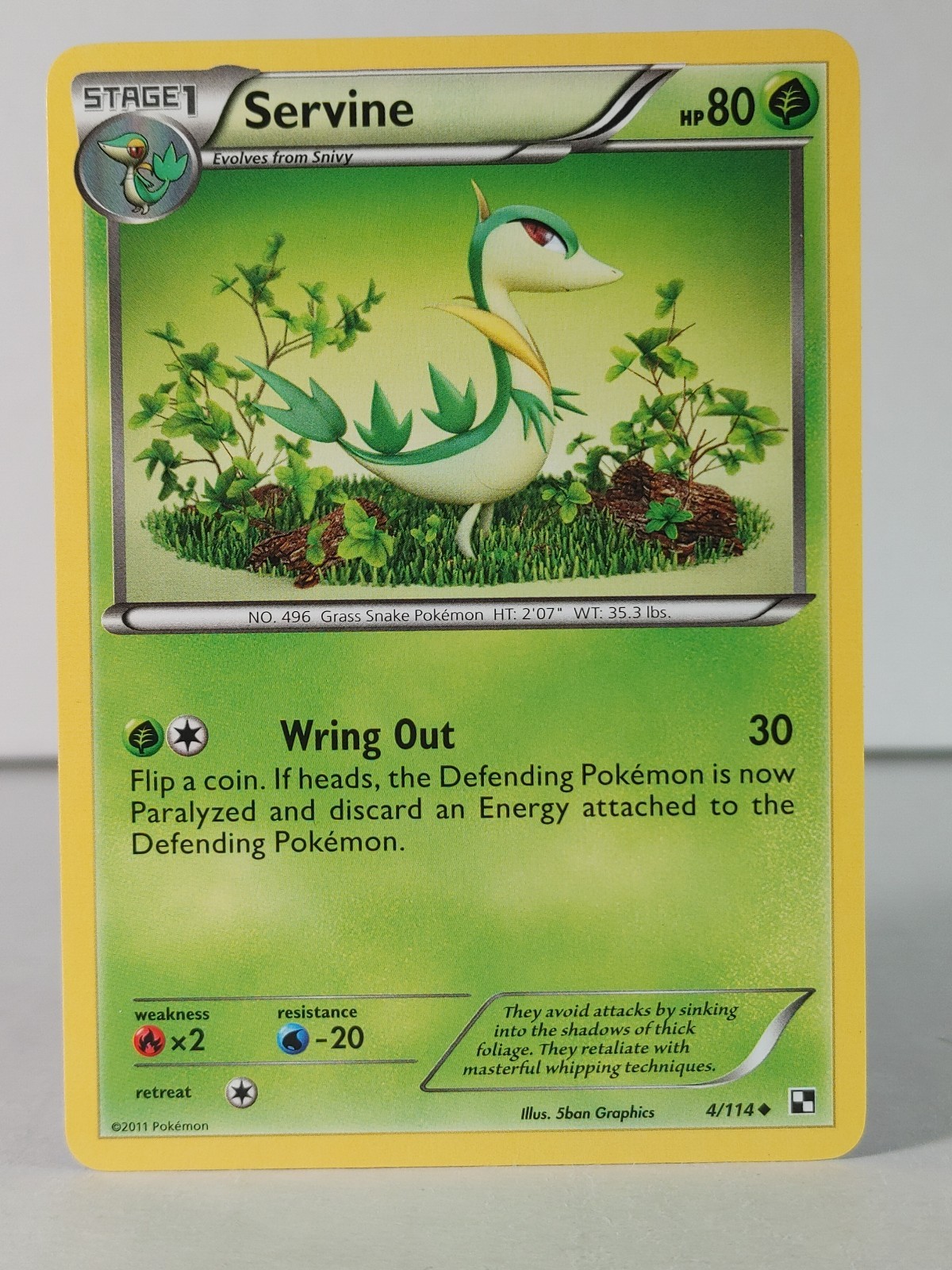 Servine - Black & White base set #4 - Pokemon - NM -A
