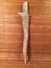 Beautiful 19" DRIFTWOOD Art Terrarium Taxidermy Aquarium Beach Reptile DECOR