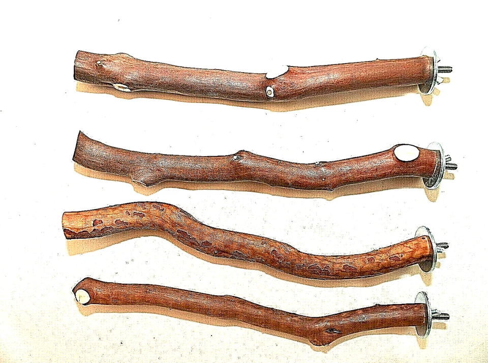 MANZANITASHOP Manzanita Bird Perches 4 pack with hardware Single Branch * Sweet Deal
