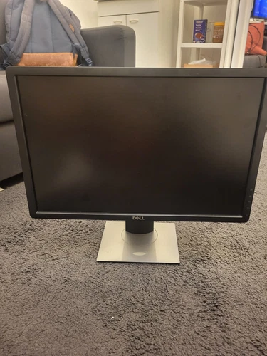 Dell Monitor P2213