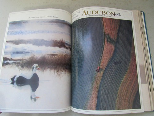 Audubon Magazine Bound ~ 1988, January - November, Volume 90, Beautiful Pictures - Bild 5 von 8