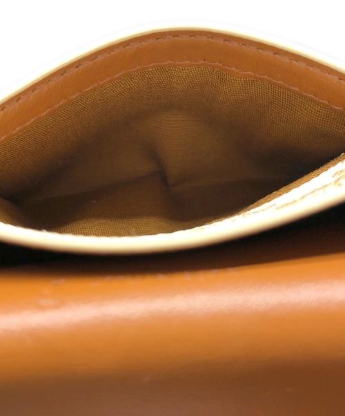 CELINE                    Triomphe Phone Pouch brown 10G332CQD image 7