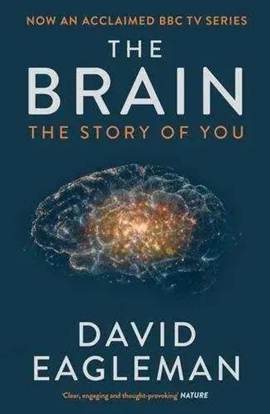The Brain | The Story Of You | David Eagleman | Taschenbuch | 246 S. | Englisch-image