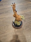 Afbeelding 1 van 9