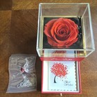 Red Square Plastic Jewelry Box Clear Lid, Lined, Love Theme for Ring/Necklace — photo 5