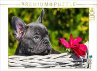 Calvendo Puzzle French Bulldog Puppy | 1000 Pieces, Finished Size 25.2 × 18.9 In