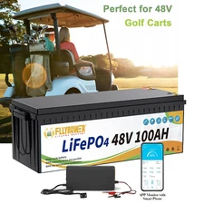 48V 100Ah LiFepo4 Lithium Batteries Deep Cycle Bluetooth BMS Golf Cart Boat Lawn