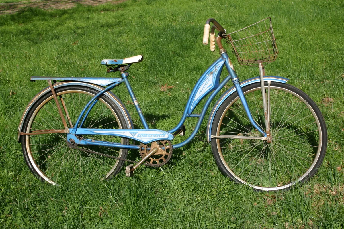 Amf cheap skyrider bicycle