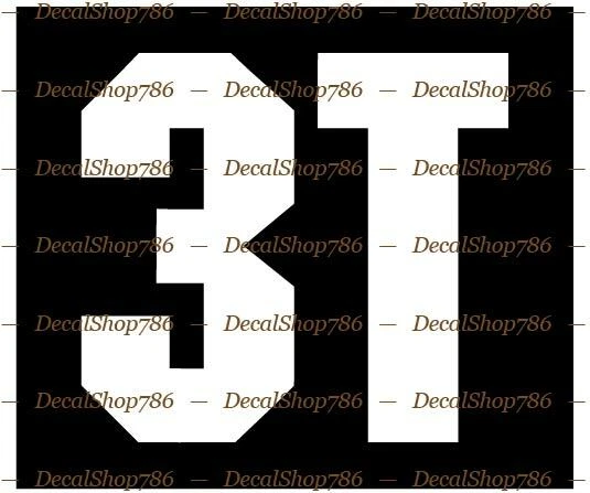 3T Bikes - Outdoor Sports - Bicycles - Vinyl Die-Cut Peel N' Stick Decals