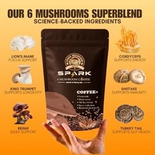Organic Mushroom Coffee Ground w/ Lion  s Mane  Reishi   No Additives: USA Made