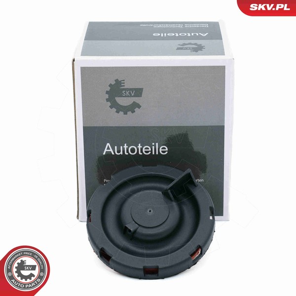 Membran KurbelgehäUseentlüFtung Esen Skv 31SKV260 FüR Bmw 5Er F10 X4 F26 Touring-image