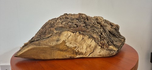 Vintage Burr Elm Lump With Butterfly Art - Picture 3 of 4