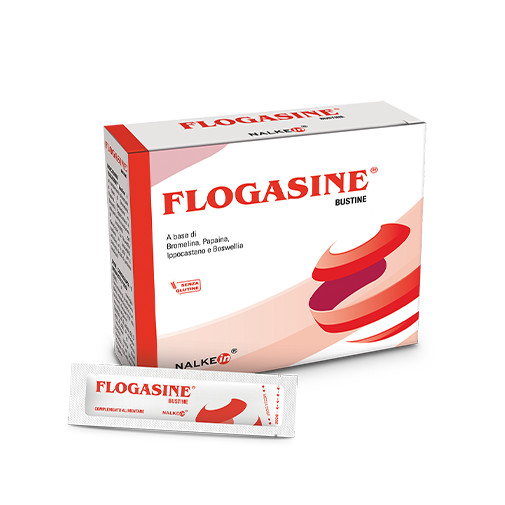 Flogasine® Nalkein® 20 Bustine-image
