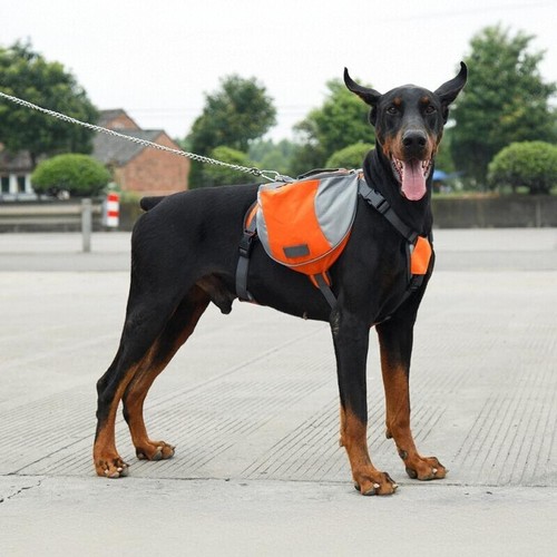 Dog Reflective Backpack Pet Snack Pockets Puppy Travel Bag Training Backpacks Us - Picture 18 of 84
