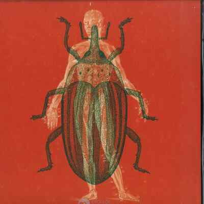 Hugh Mane / VOODOO QUESTIONS / Running Back / RB076 / 12 Inch