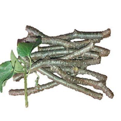 YOTOVA Guduchi Giloy Neem Bel  Fresh 7  Stems  Herbal Health Booster