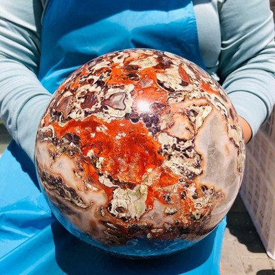 23.65LB Natural Money agate Crystal Sphere Ball healing