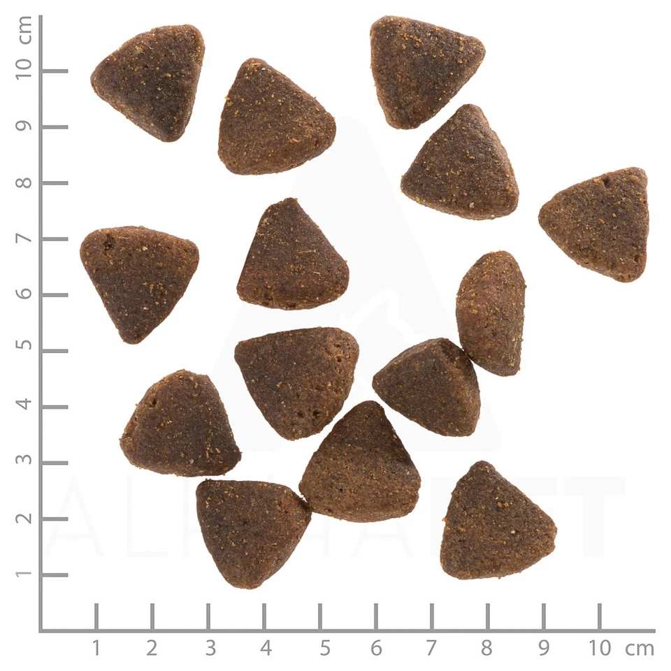 Wolfsblut - Wild Duck Large Breed Puppy - 2 kg - Hundefutter - Bild 4 von 4