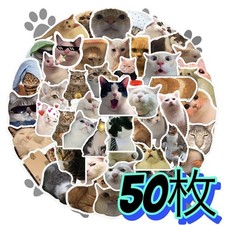 50 pieces cat cute cat meme waterproof sticker