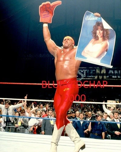 Ebay hogan sale