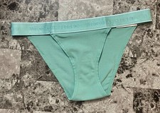 NWT VICTORIA'S SECRET GREEN SMOOTH THICK LOGO WAISTBAND CHEEKY TANGA PANTIES