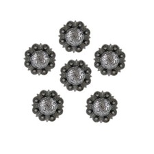 Set of 6 WESTERN SADDLE HORSE TACK ANTIQUE ENGRAVED BERRY CONCHOS screw back