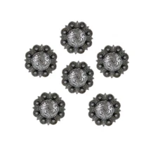 Set of 6 WESTERN SADDLE HORSE TACK ANTIQUE ENGRAVED BERRY CONCHOS screw back