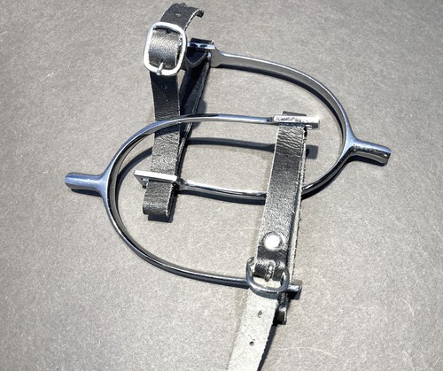 HS Herm Sprenger Dressage Spurs with Straps, Blunt