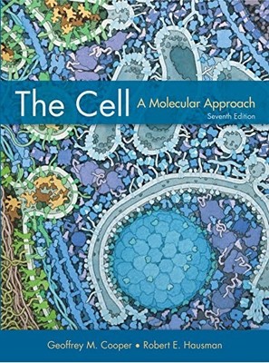 The Cell: A Molecular Approach,Cooper G.