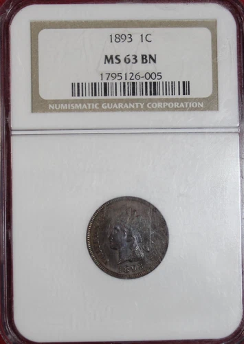 1893 INDIAN CENT NGC MS63BN