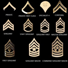 US ARMY COLLAR DEVICES ENLISTED RANKS OFFICAL 22K GP REGULATION UNIFORM TIE TAC*