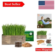 Organic Cat Grass Kit with Rustic Wood Planter – Easy Indoor & Outdoor Pet Nu...