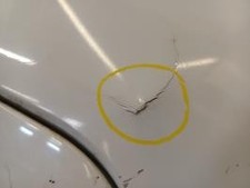 Pare-choc arrière Citroen C2