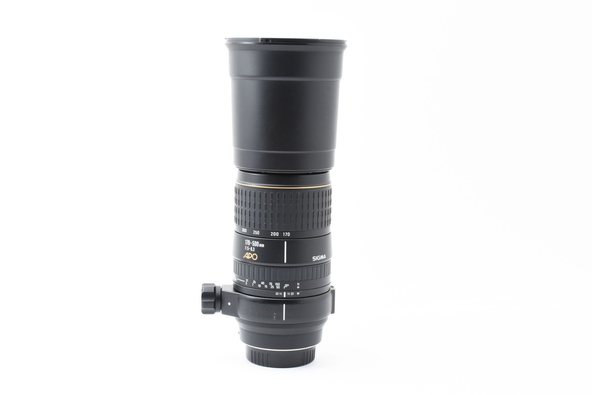 SIGMA APO 170-500ｍｍ F5-6.3 Sigma APO 170-500mm F5-6.3 Lens Reviews - Sigma Lenses