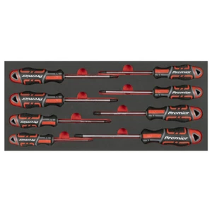 Outils Sealey TBT55 Tournevis 8 Ensemble de pièces TORX Étoile T8-T40 EVA Bac à mousse FD25