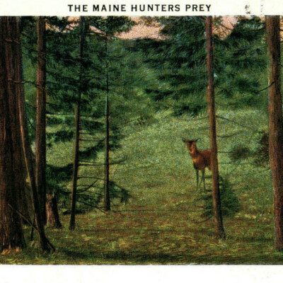 Greetings from the Pine Tree State Illustration Print Poem ME Vintage Postcard