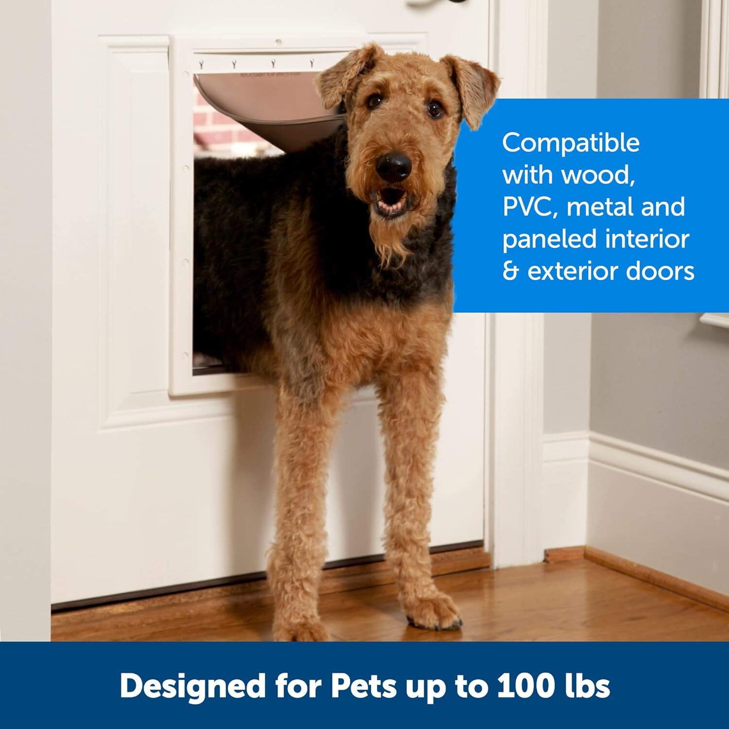 PetSafe NEVER RUST Large Dog Cat Door For Pets Up To 100 lb, Paintable