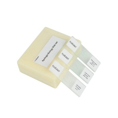 Prepared Apologia Biology Microscope Slides Set, Pack of 16pcs Specimens Spec...
